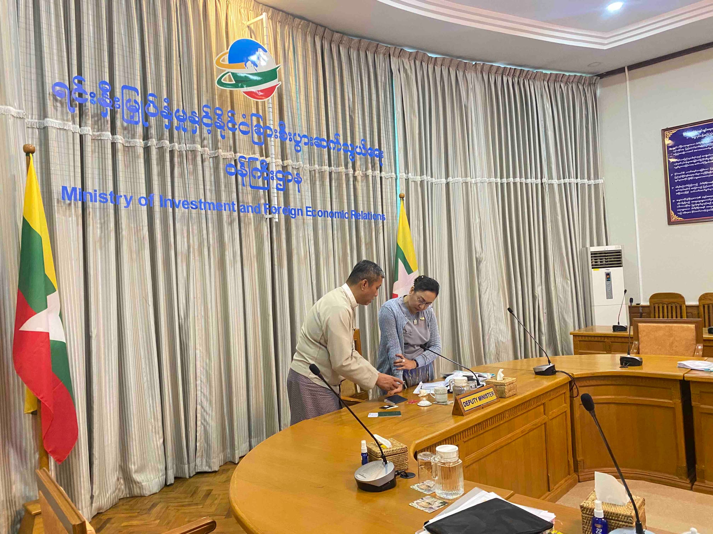 Deputy Minister at the Ministry of Investment and Foreign Economic Relations