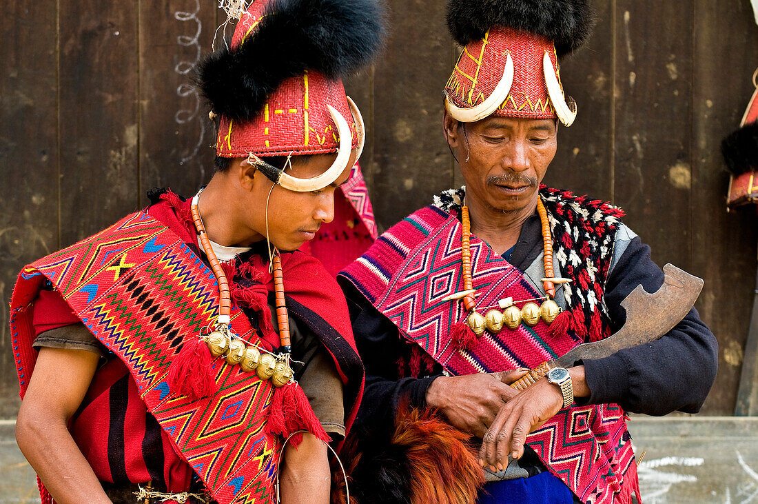 Hornbill headgear